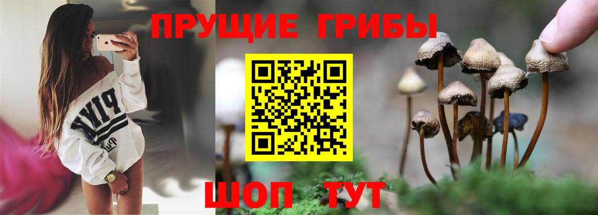 Зеленодольск  Псилоцибиновые грибы GOLDEN TEACHER  Галлюциногенные грибы ЛСД  Вход с VPN 